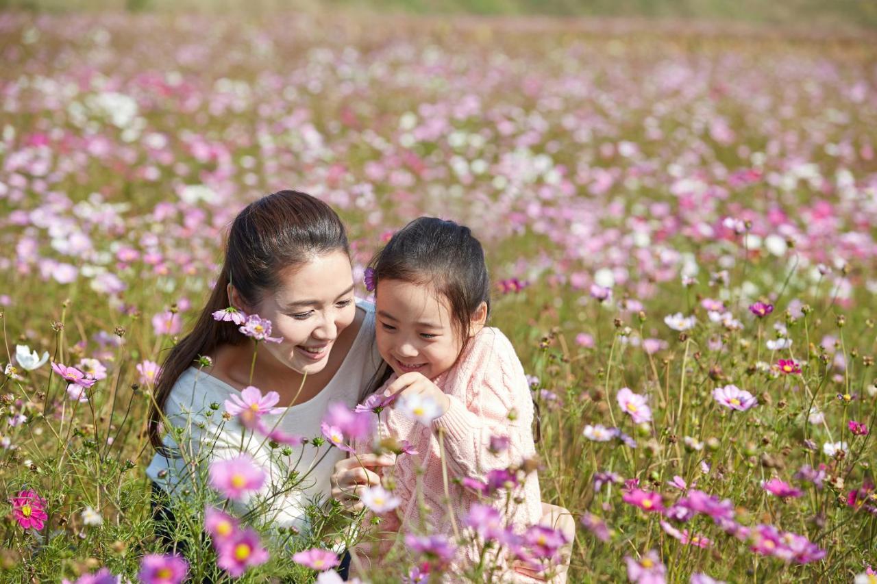 Sadec Farmstay - Khu Du LịCh Hoa KiẻNg Sa DéC Ap Khanh Nghia Kültér fotó
